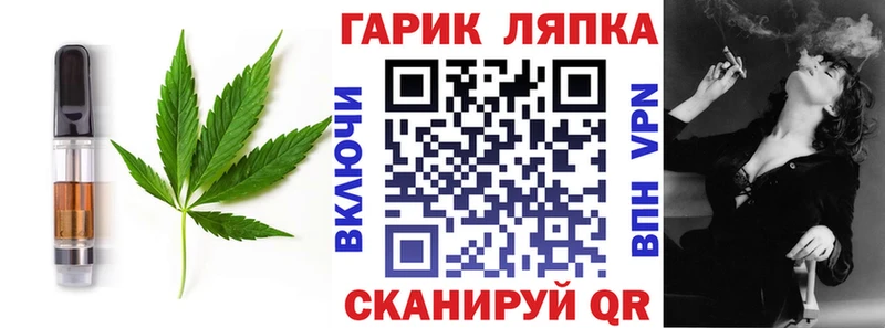 Купить закладки  Елизово  Печенье с ТГК конопля 