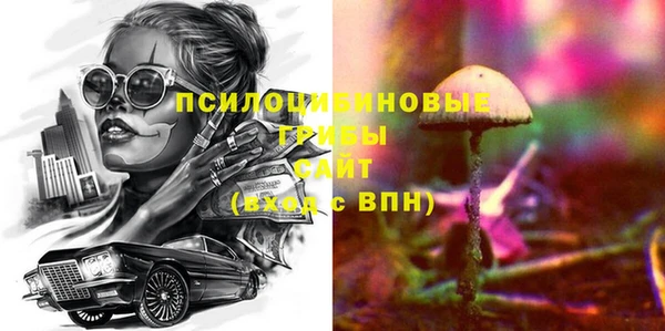 СК Зеленодольск