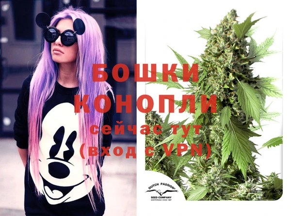 СК Зеленодольск