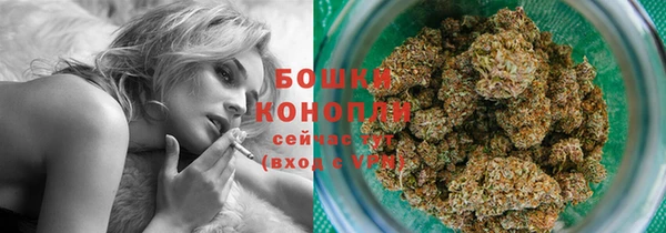 СК Зеленодольск