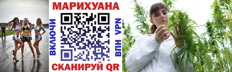 Марихуана сатива Елизово